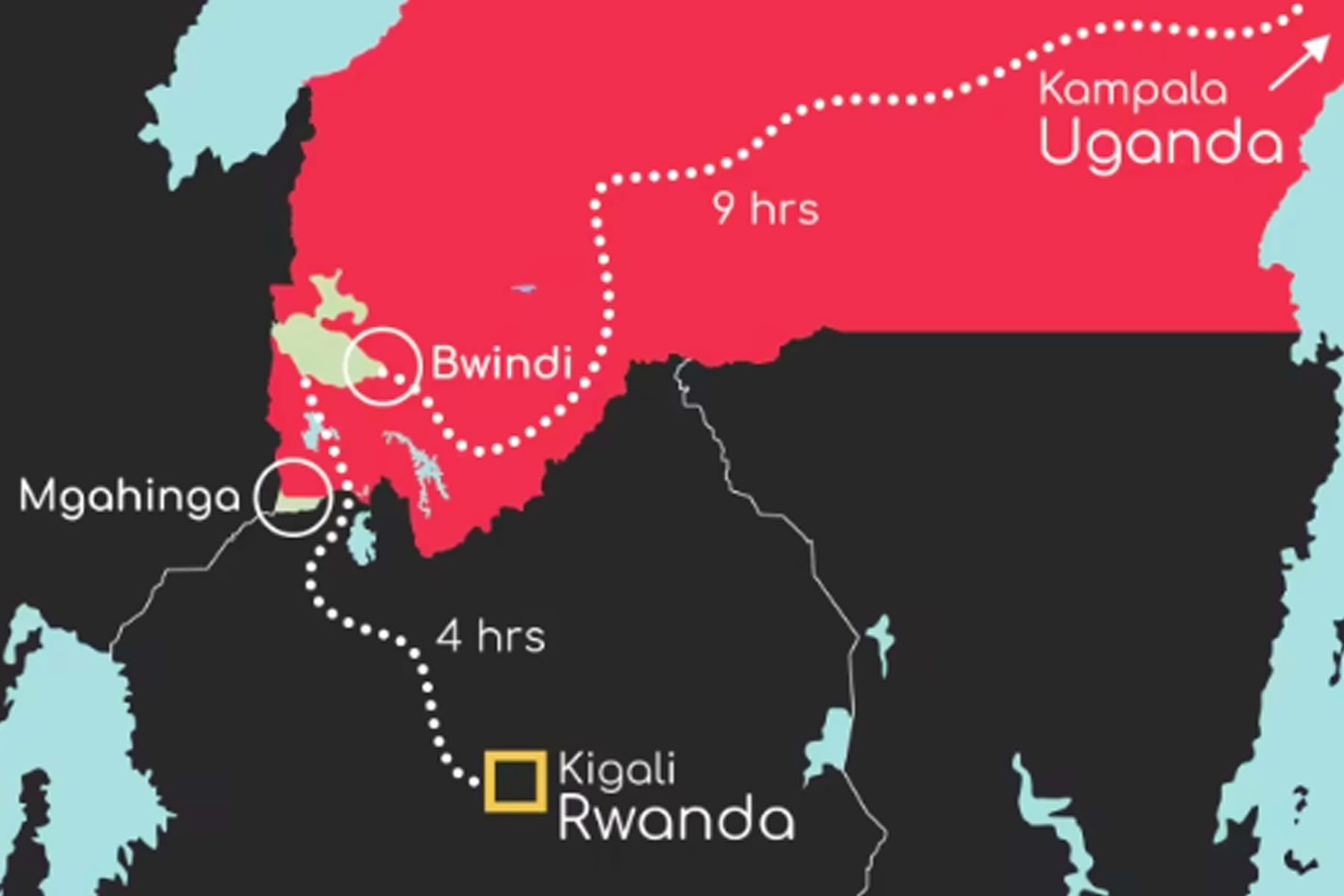uganda-gorilla-trekking-through-kigali-airport