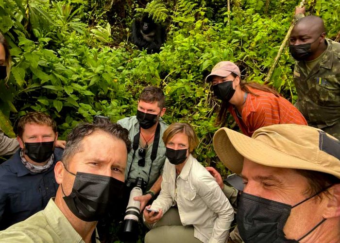 why-gorilla-trekking-at-volcanoes-national-park