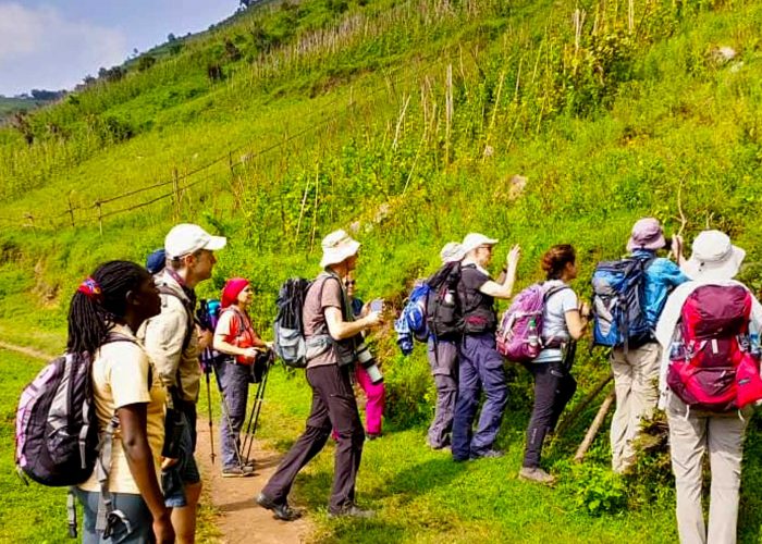 1-day-bwindi-buhoma-to-nkuringo-hiking-tour