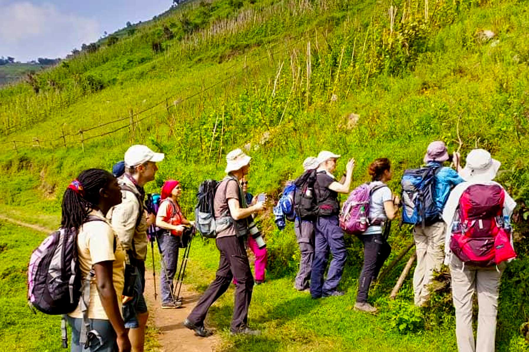 1-day-bwindi-buhoma-to-nkuringo-hiking-tour