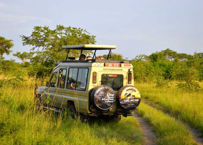 10-days-extreme-uganda-primates-and-wildlife-adventure-safari