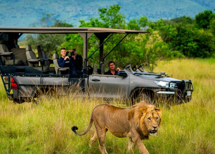 10-days-rwanda-epic-luxury-gorilla-wildlife-adventure-safari