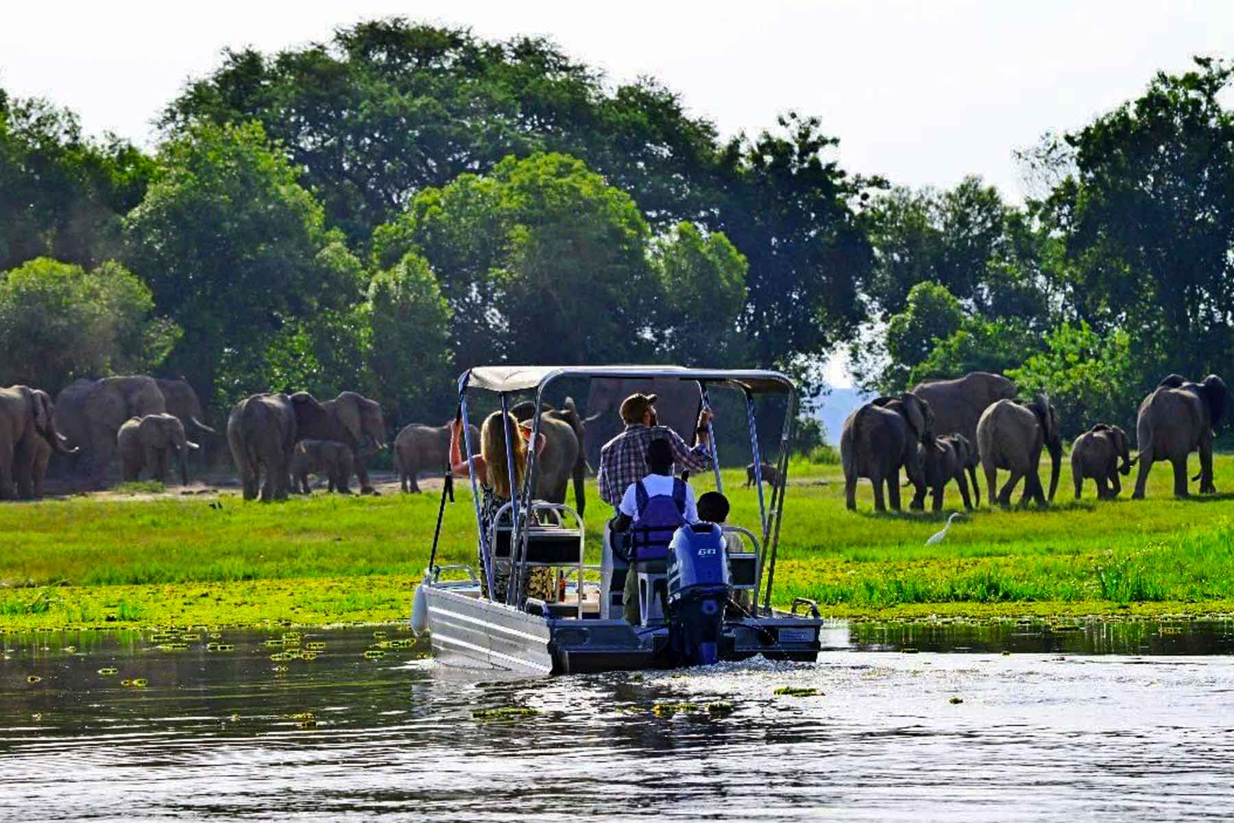 10-days-uganda-luxury-gorilla-wildlife-adventure-safari