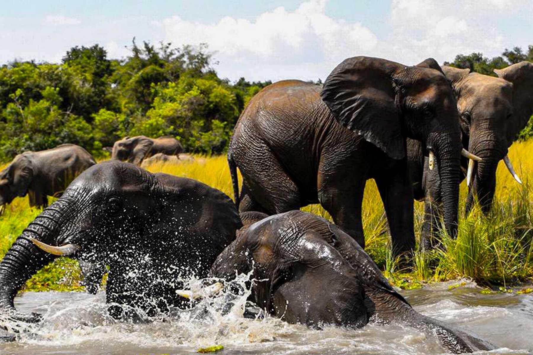 16-days-uganda-rwanda-extreme-gorilla-wildlife-adventure-safari