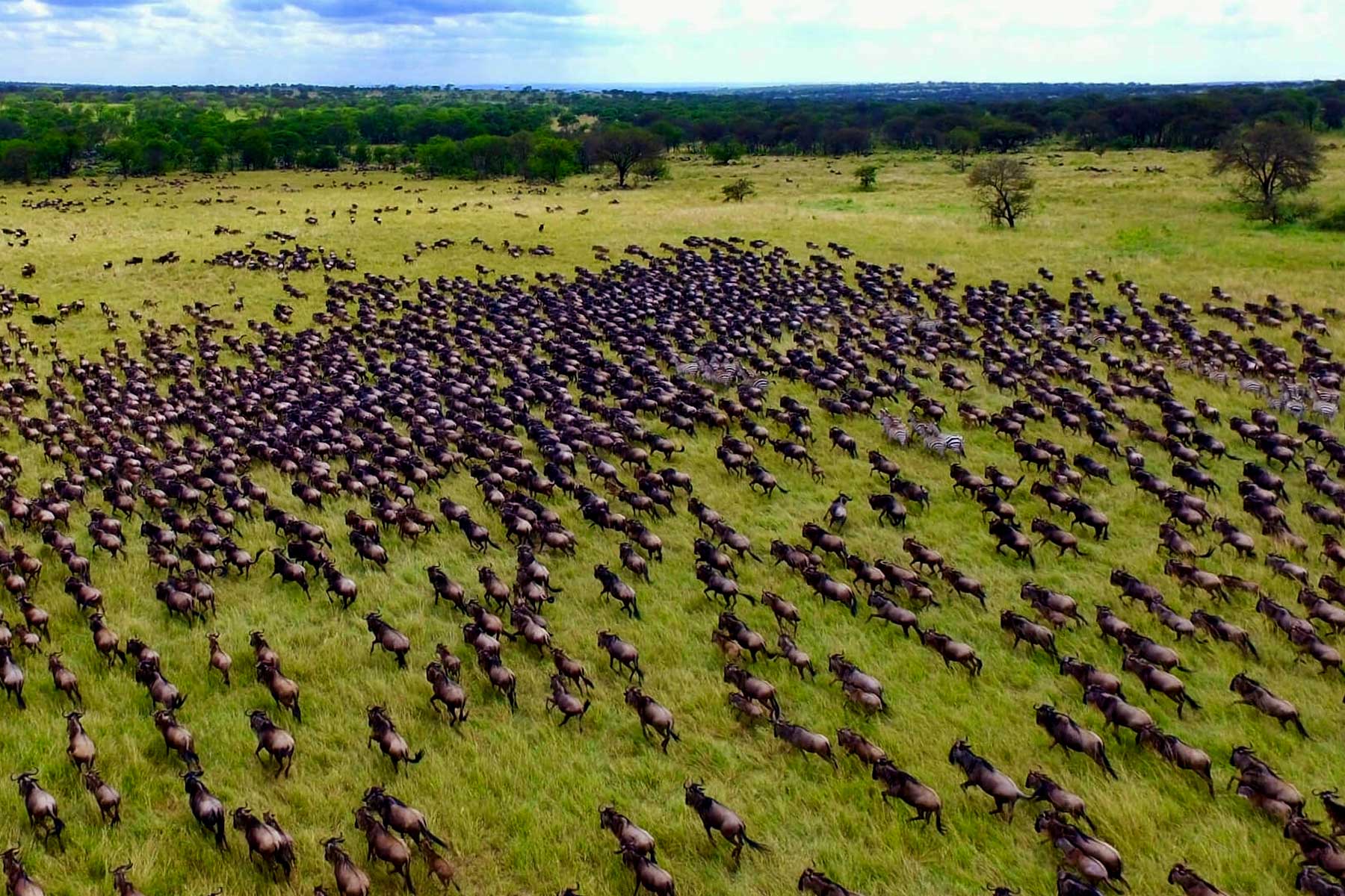 18-days-kenya-tanzania-rwanda-uganda-adventure-safari