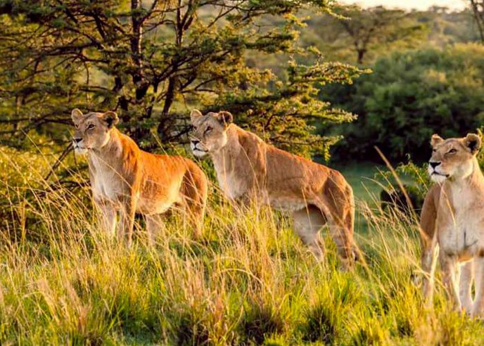 3-days-rwanda-akagera-wildlife-safari