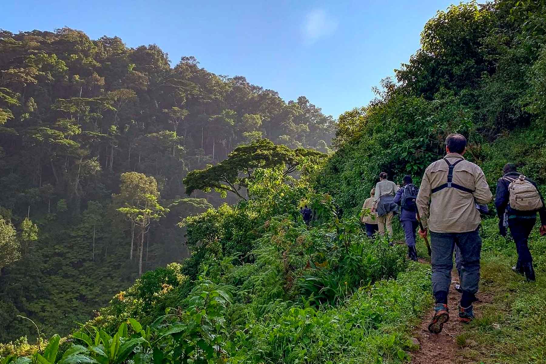 6-days-bwindi-gorilla-trekking-and-walking-safari
