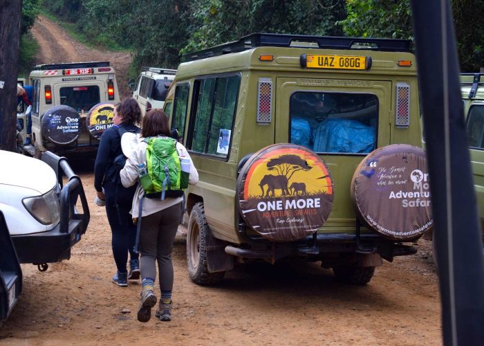 7-days-uganda-gorilla-and-chimpanzee-trekking-safari