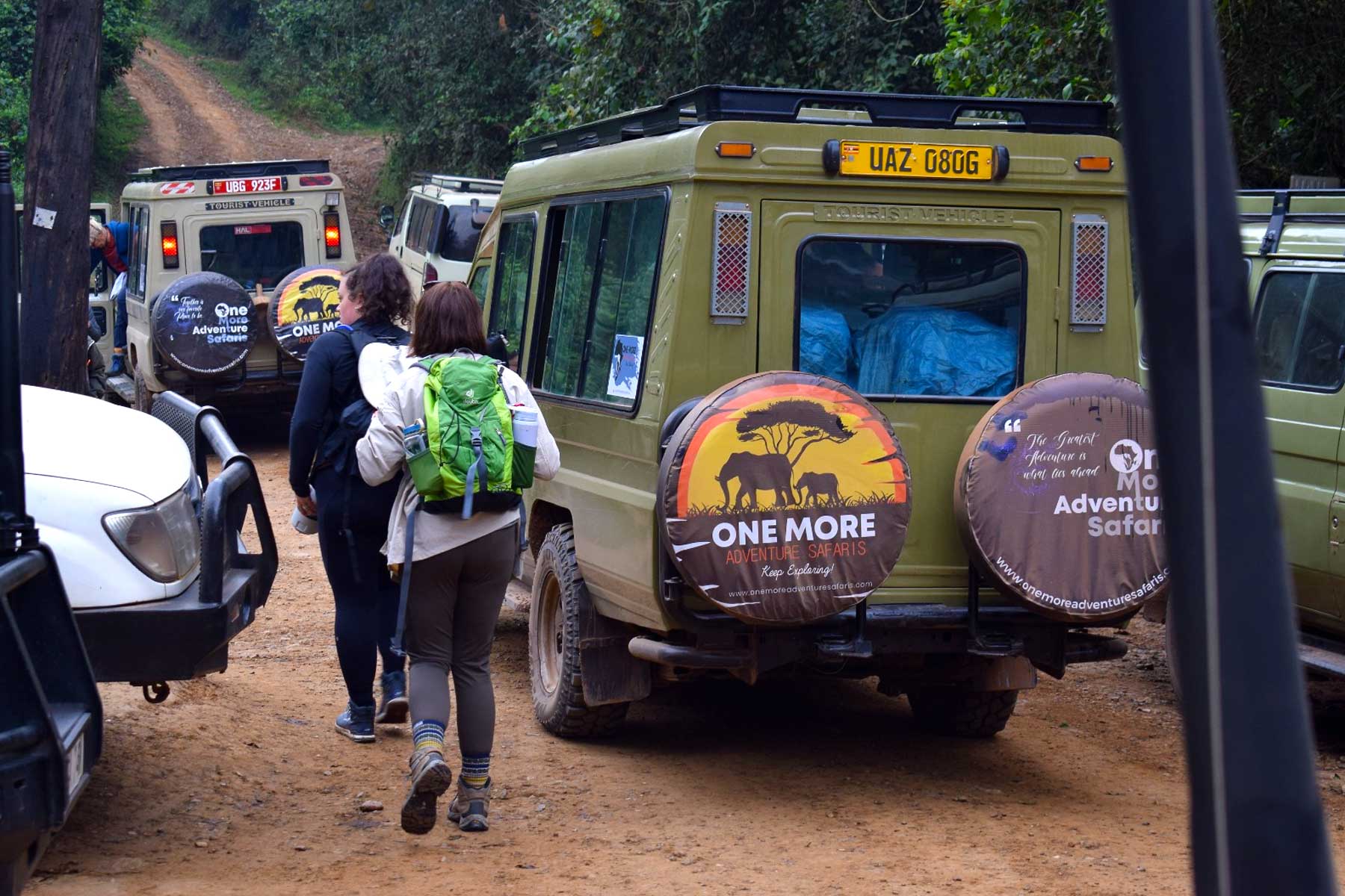 7-days-uganda-gorilla-and-chimpanzee-trekking-safari