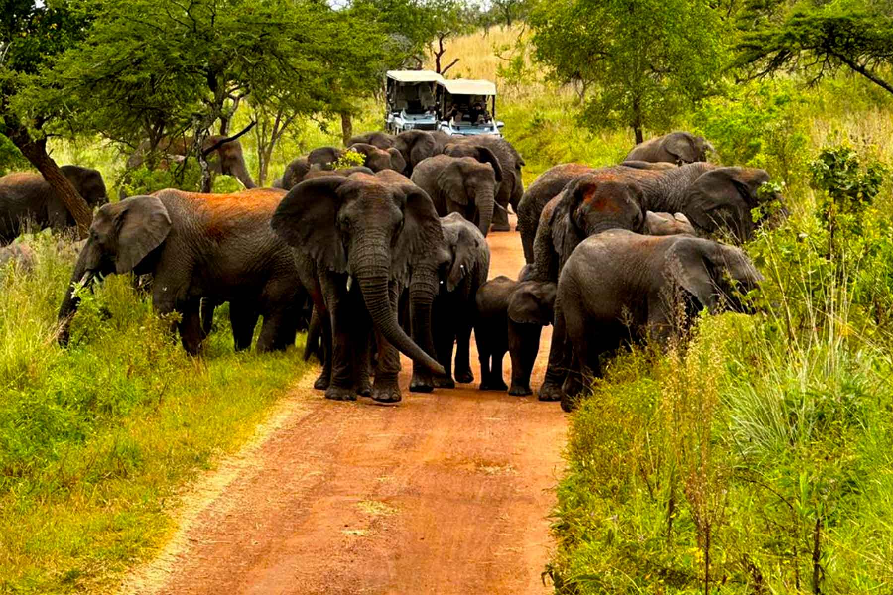 8-days-explore-rwanda-adventure-safari