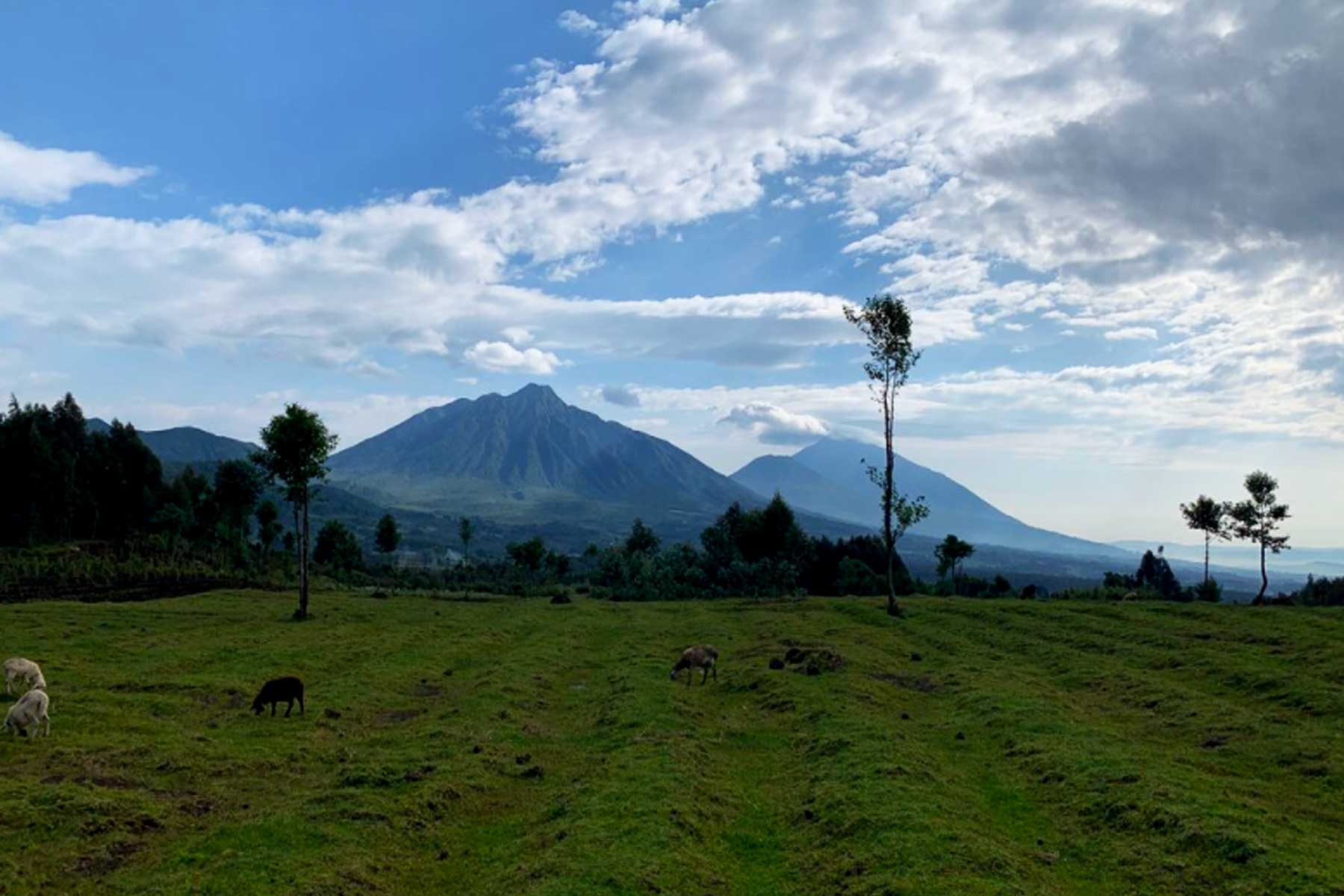 8-days-rwanda-congo-uganda-primate-and-hiking-adventure