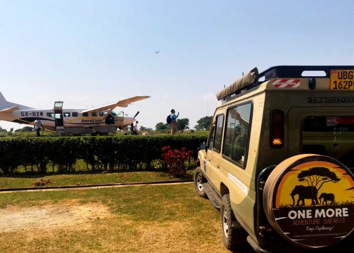 8-days-uganda-luxury-gorilla-wildlife-flying-expedition-safari