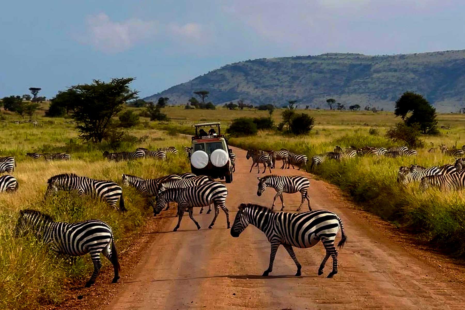 8-days-epic-amboseli-lake-naivasha-and-masai-mara-wildlife-safari