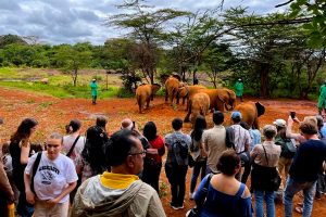 best-kenya-tour-operator