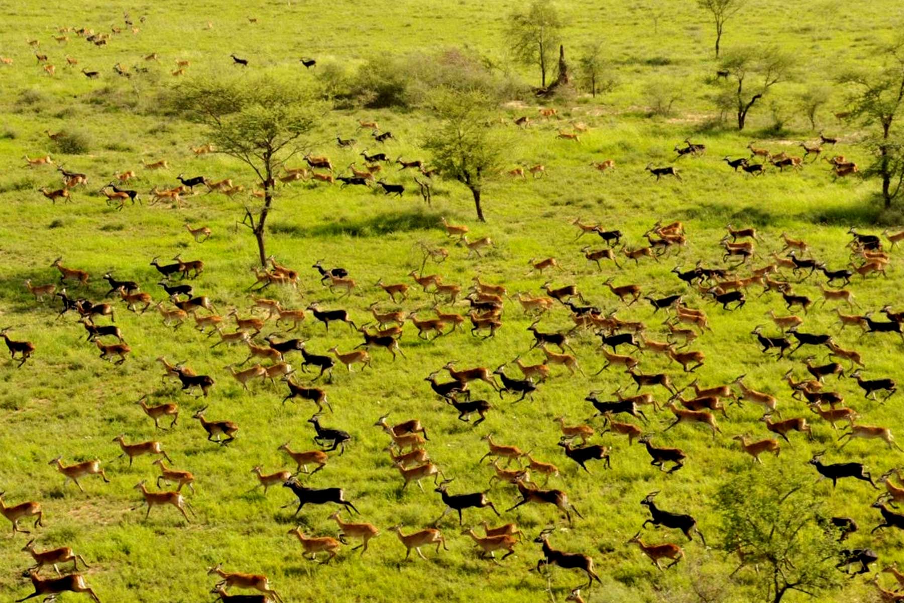 Boma National Park