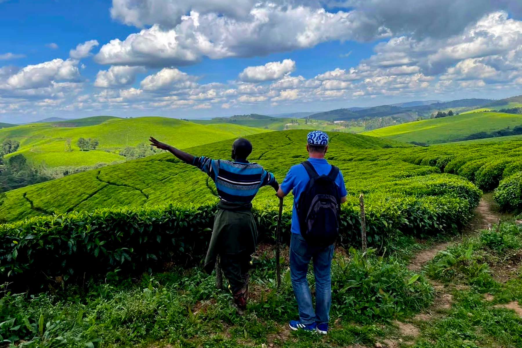 Tea Trails and Tours: Experiencing Tea Production from Farm to Cup
