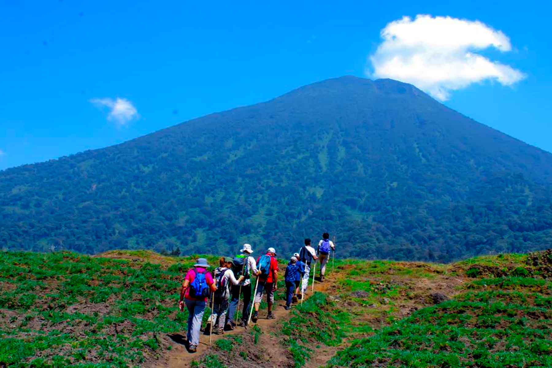 Mount Karisimbi Hiking Experience