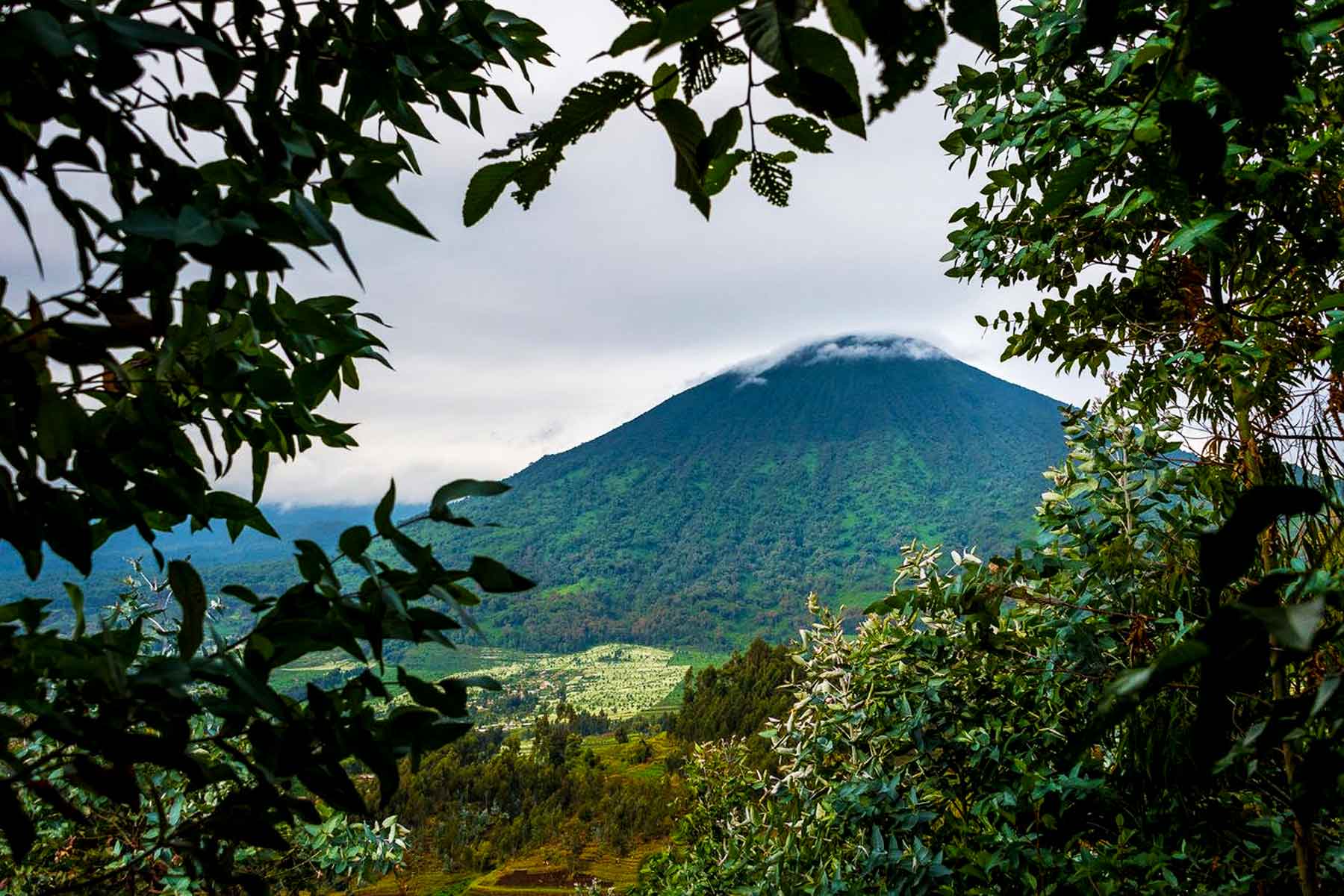19-days-exclusive-rwanda-uganda-volcano-hiking-adventure-tour