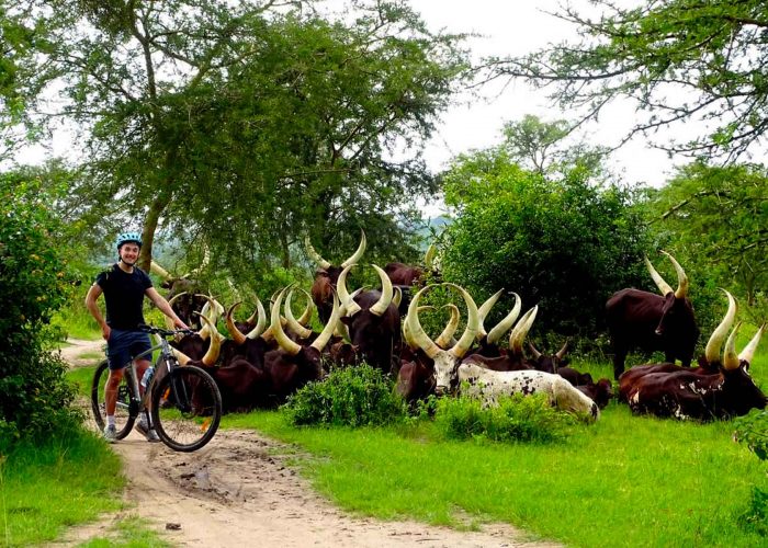 cycling-safaris-in-lake-mburo-national-park