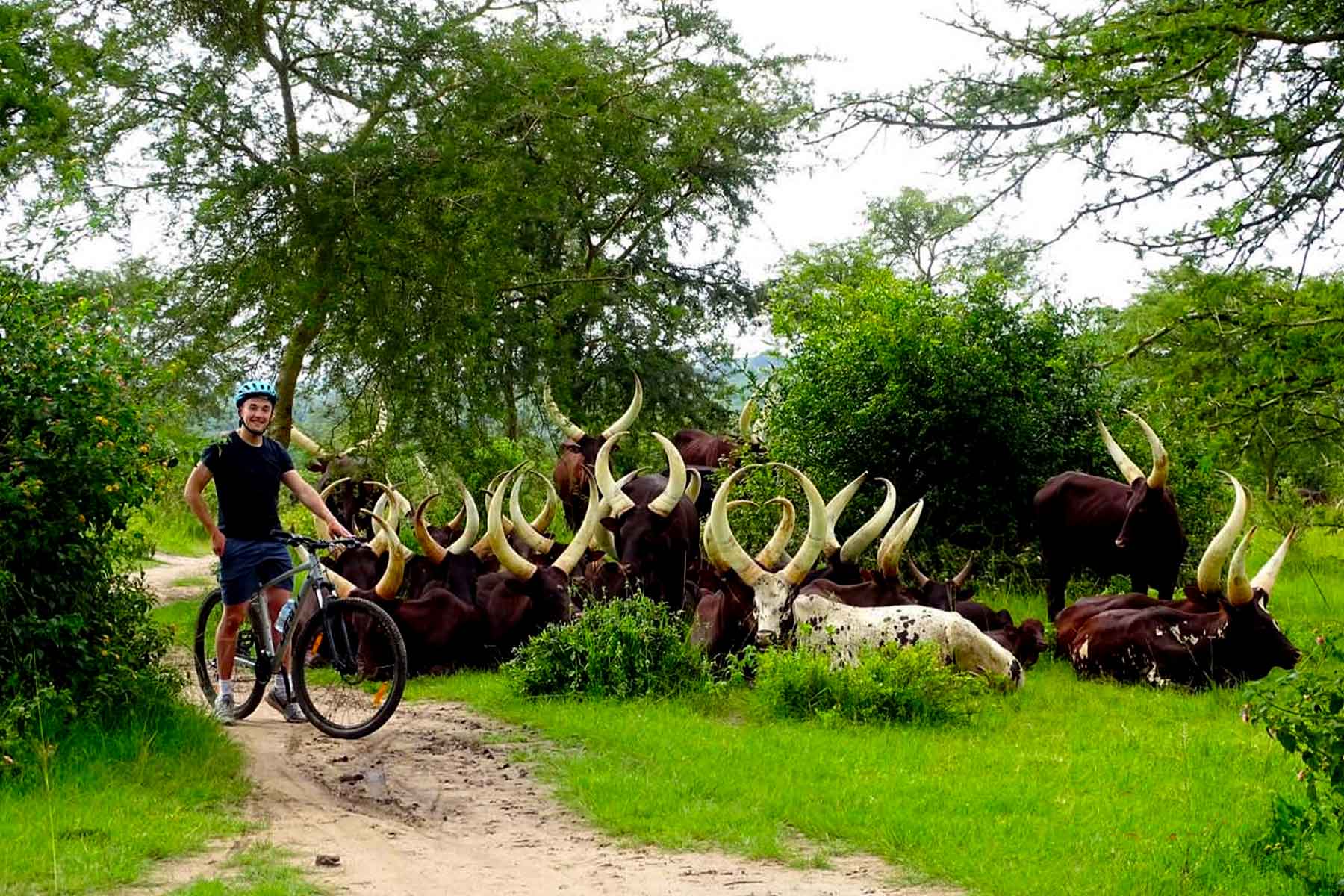 Cycling Safaris in Lake Mburo National Park