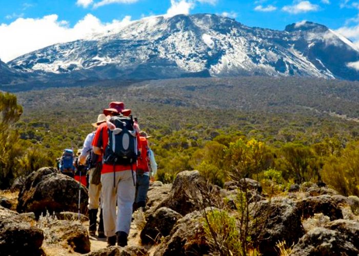 mount-kilimanjaro-hike-and-wildlife-combined-safari