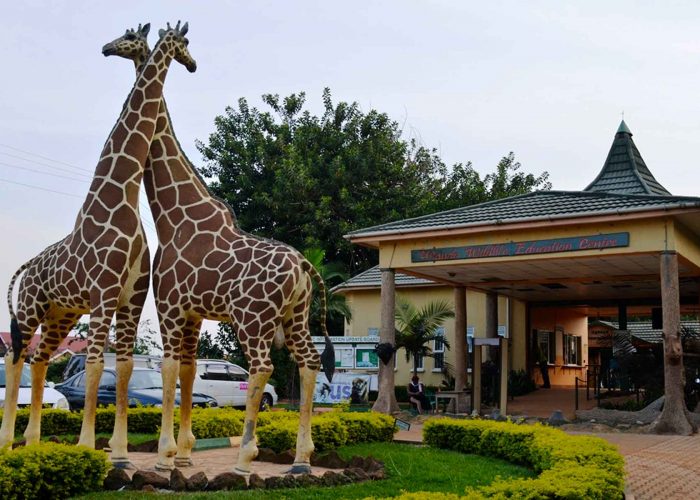 uganda-wildlife-education-centre