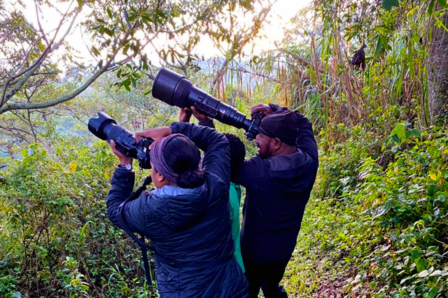 Bird Watching Experience in Bwindi Impenetrable National Park