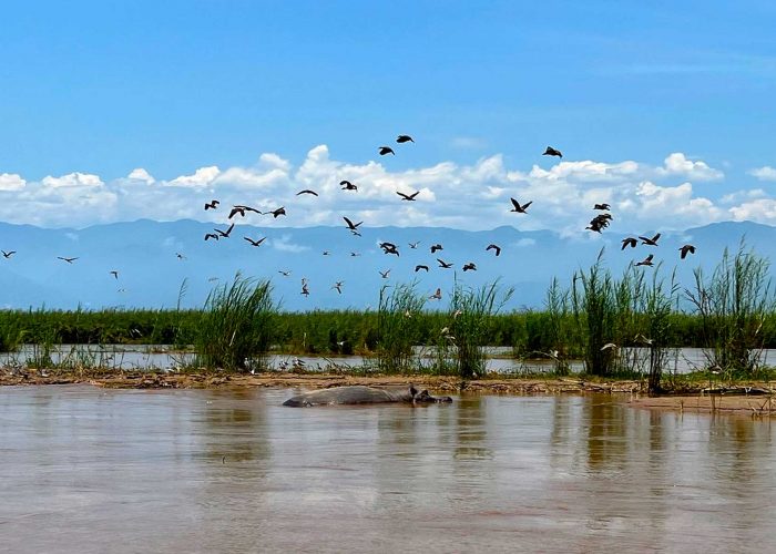 boat-cruise-on-river-rusizi-with-one-more-adventure-safaris