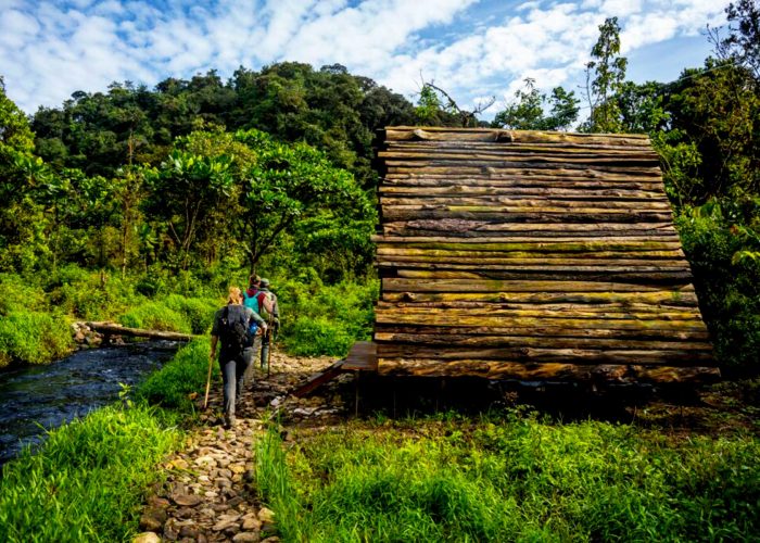 discover-the-hidden-beauty-of-nyungwe-national-park-on-the-cyinzobe-hiking-trail