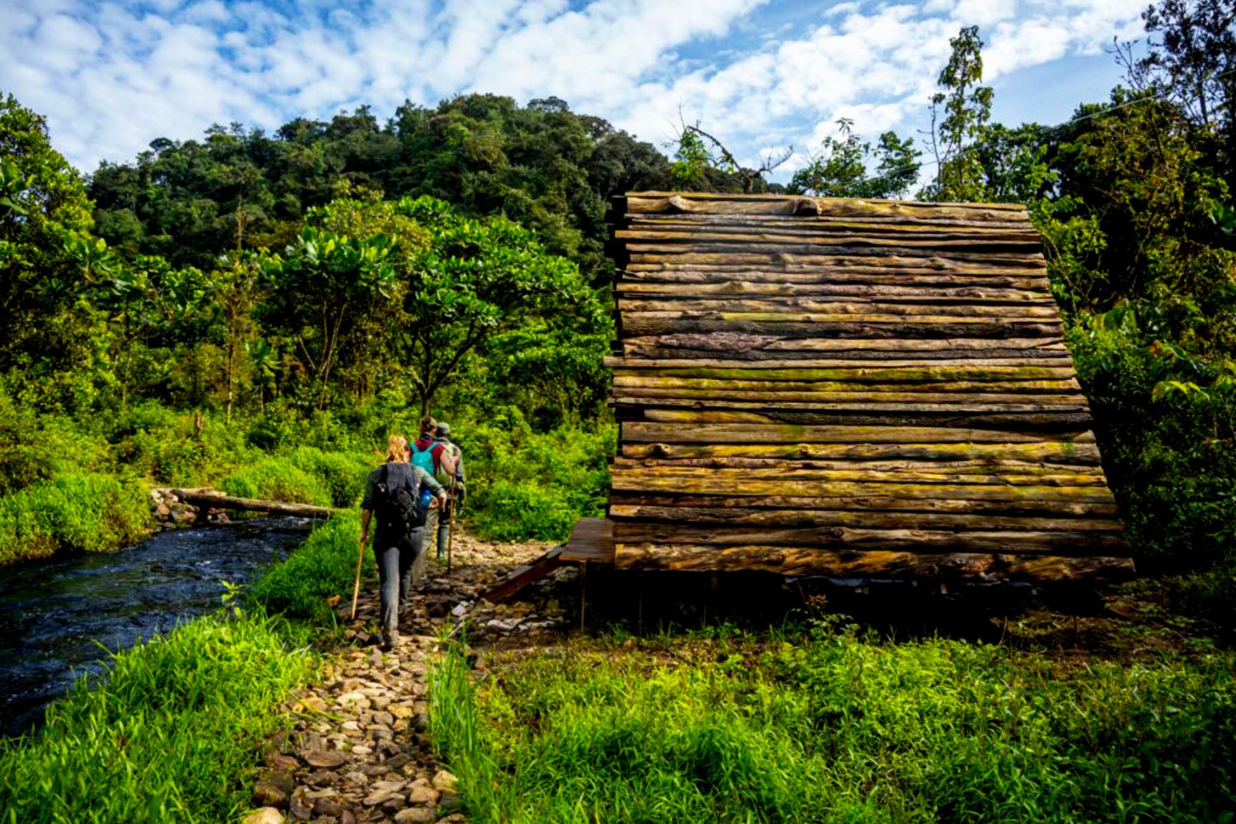 discover-the-hidden-beauty-of-nyungwe-national-park-on-the-cyinzobe-hiking-trail