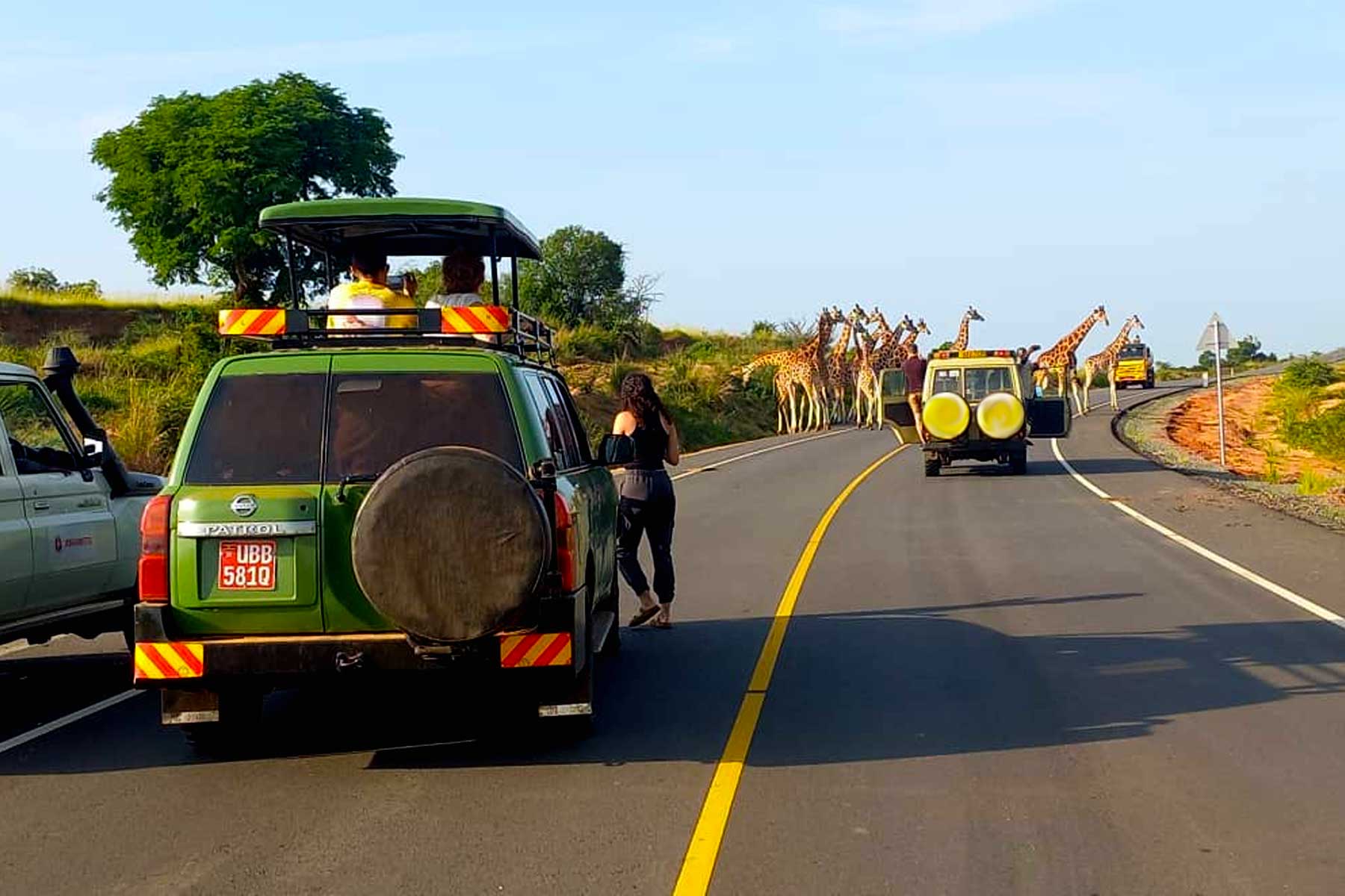 embark-on-a-seamless-adventure-with-one-more-adventure-safaris