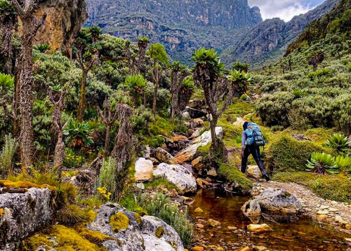 explore-the-remarkable-mount-rwenzori-hiking-circuits