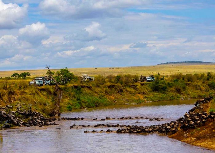 masai-mara-migration-river-crossing-experience