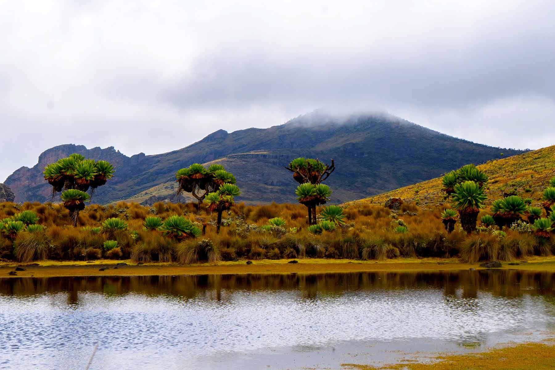 Mount Elgon National Park