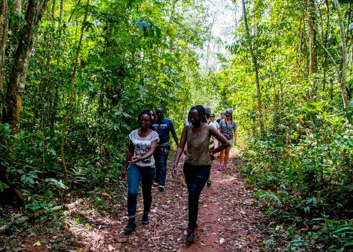 nature-walk-experience-in-mabira-forest-reserve