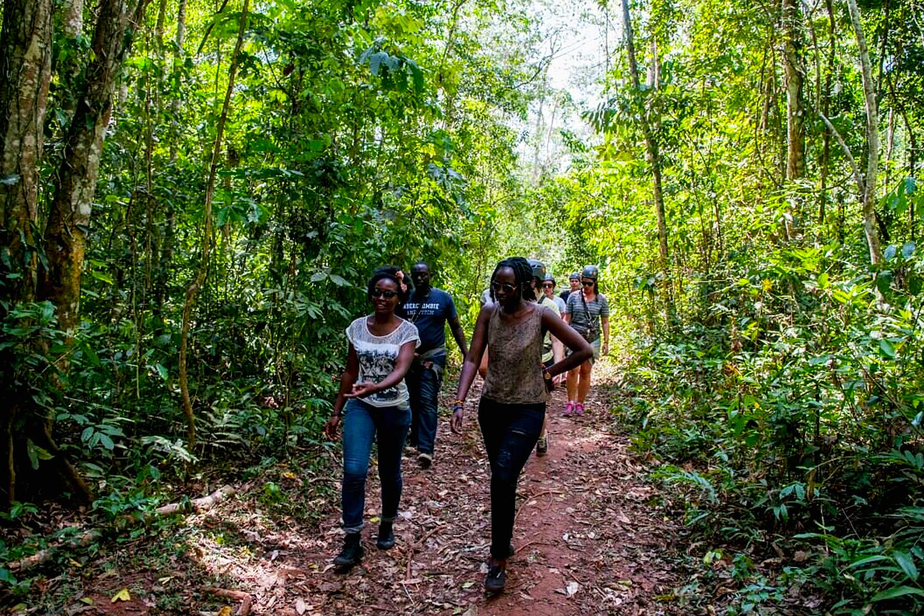 Nature Walk Experience in Mabira Forest Reserve