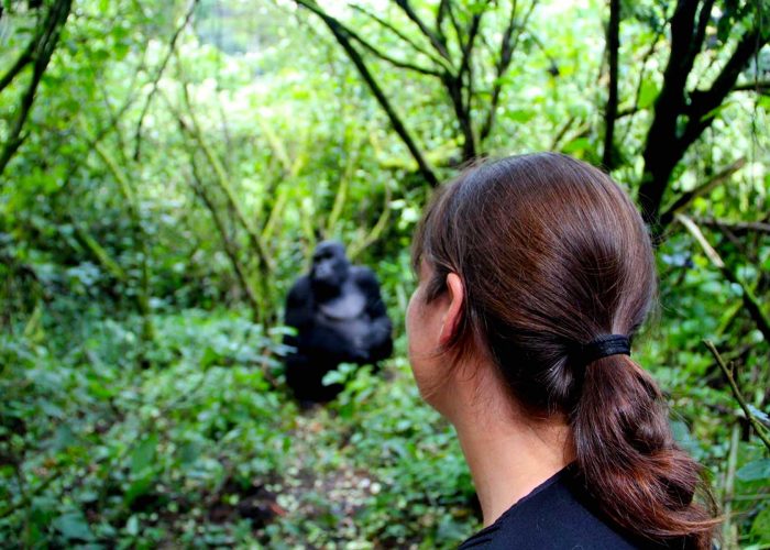 primate-trekking-adventure-of-a-lifetime