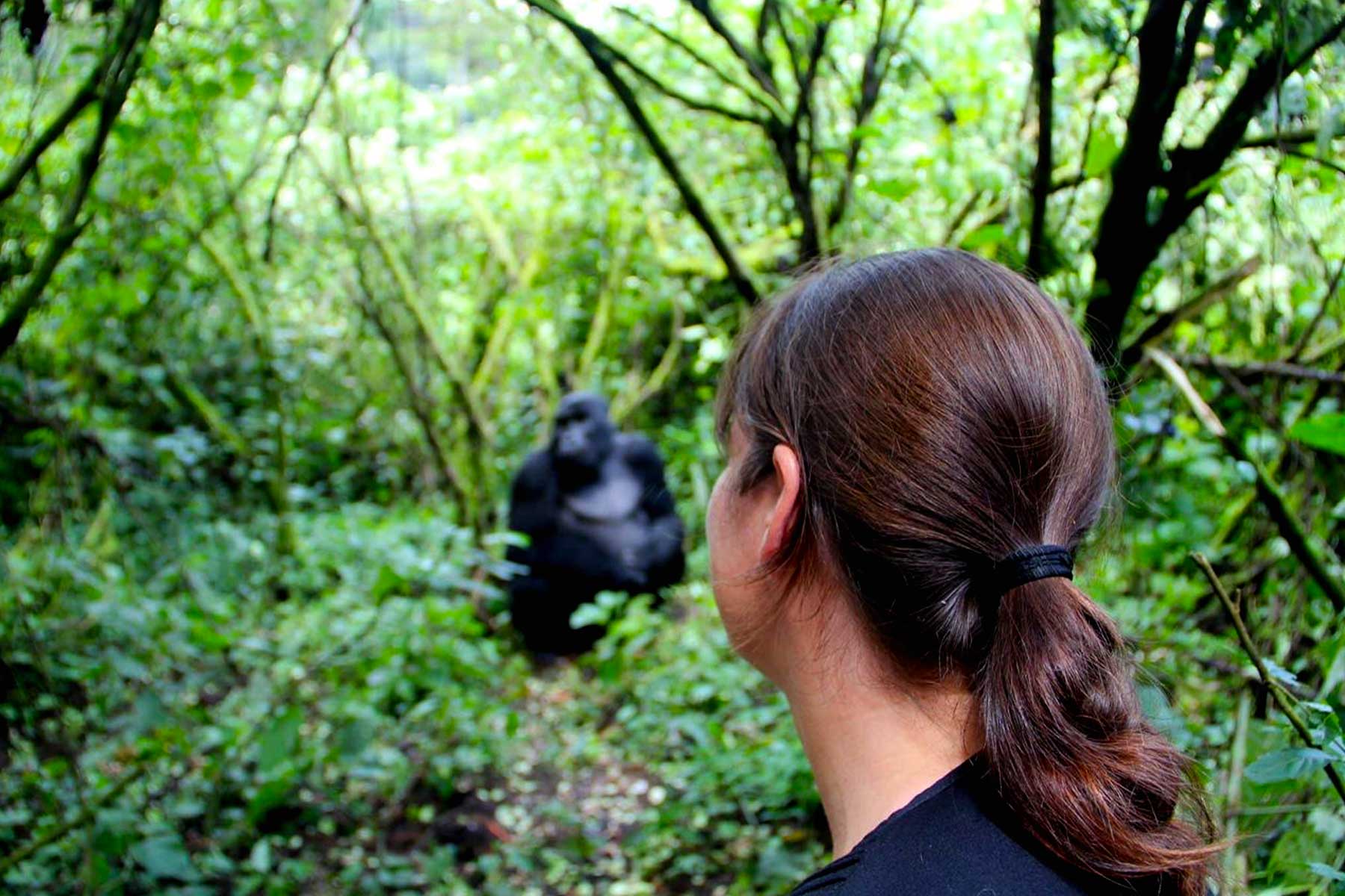 primate-trekking-adventure-of-a-lifetime