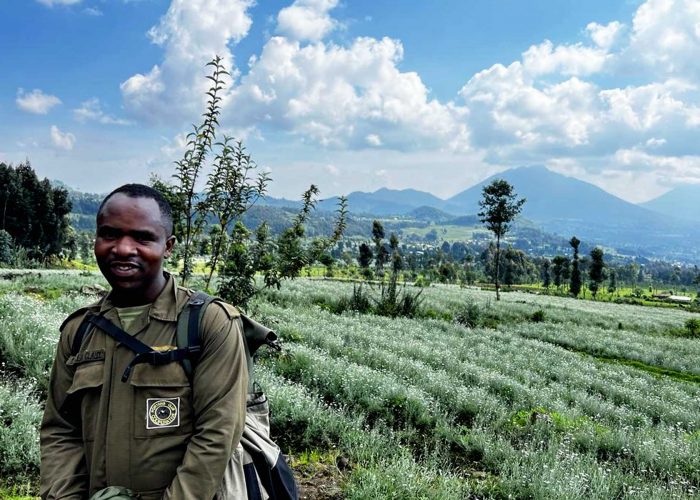 rwandas-volcano-hikes