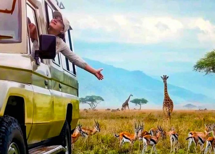 turning-your-adventure-safari-into-fun