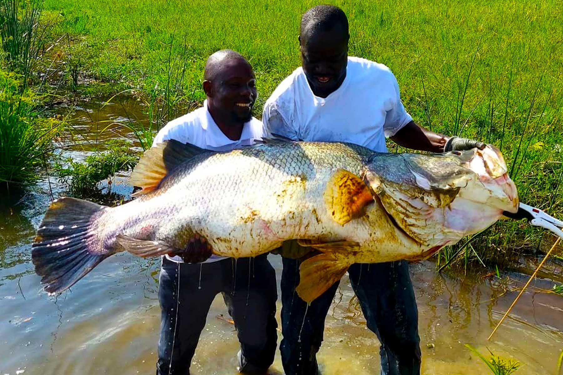 uganda-fishing-adventure-safari