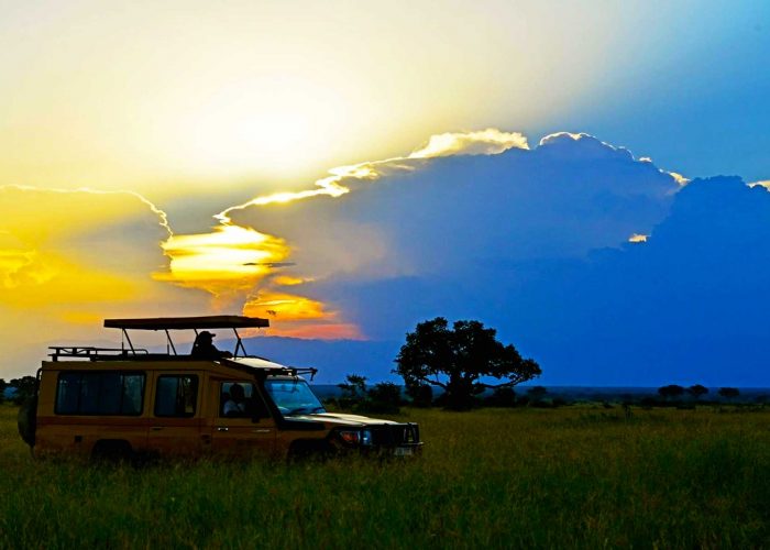 uganda-private-safari-craft-your-exclusive-adventure