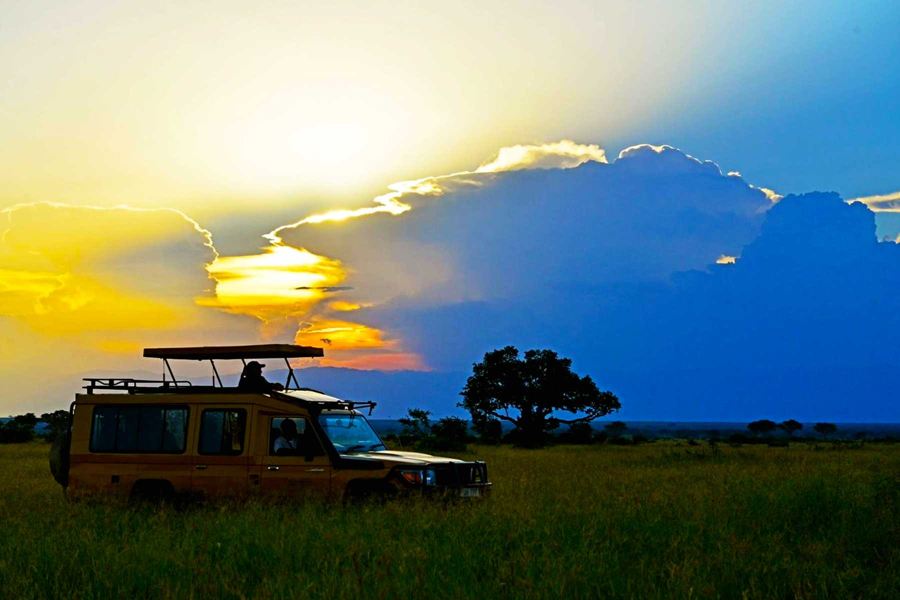 uganda-private-safari-craft-your-exclusive-adventure