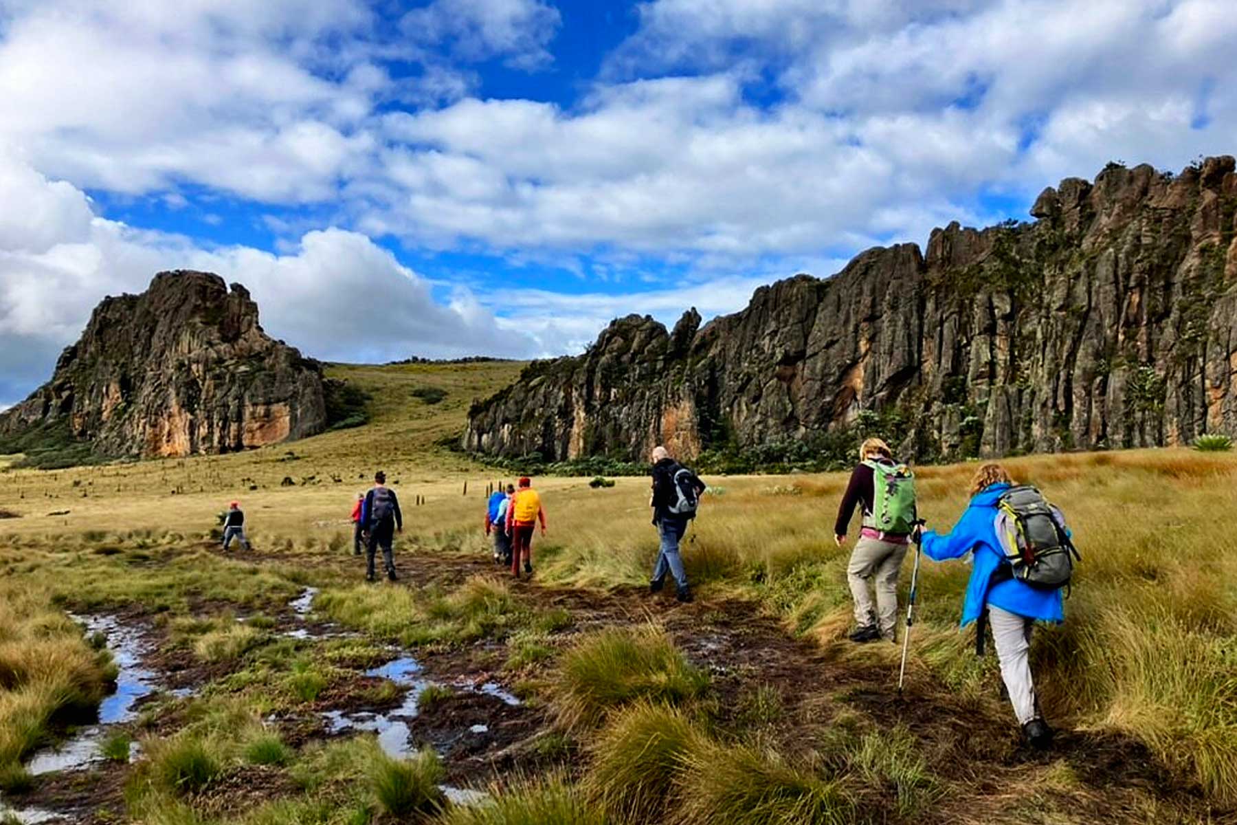 Aberdare National Park