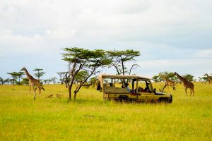 game-drive-in-masai-mara-national-reserve