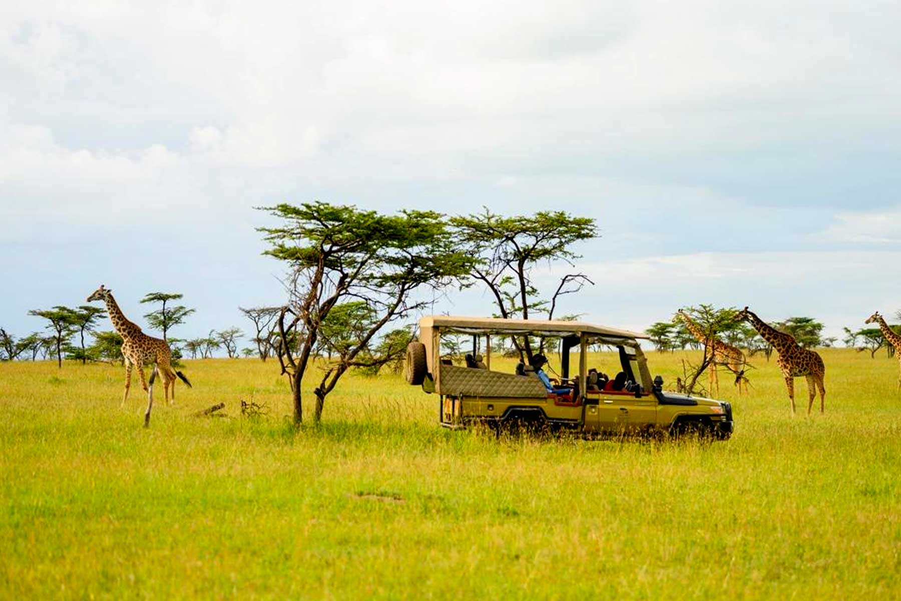 Game Drive in Masai Mara National Reserve - Game Viewing Tour