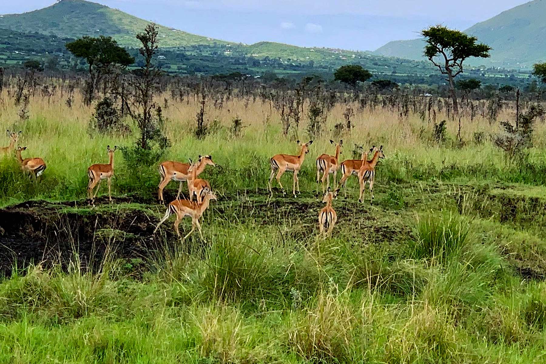 Ruma National Park