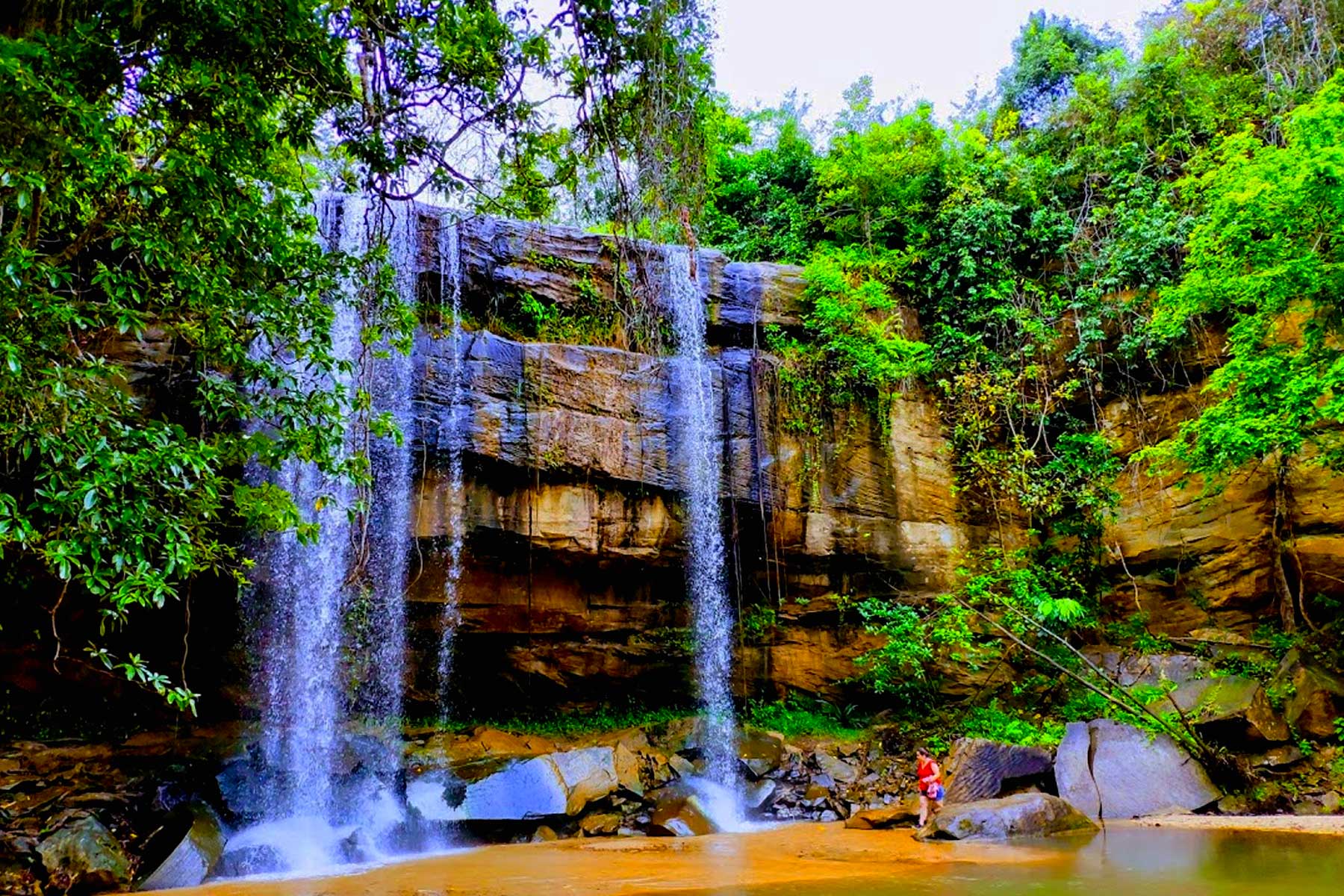 Shimba Hills National Reserve