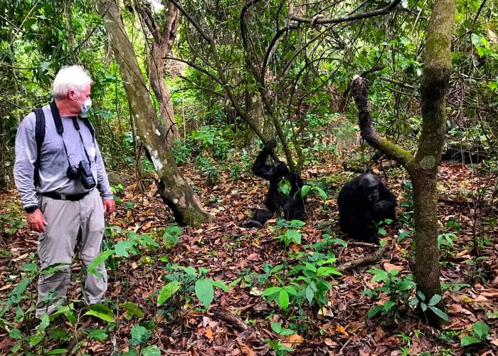 chimpanzee-trekking-at-mahale-mountains-national-park