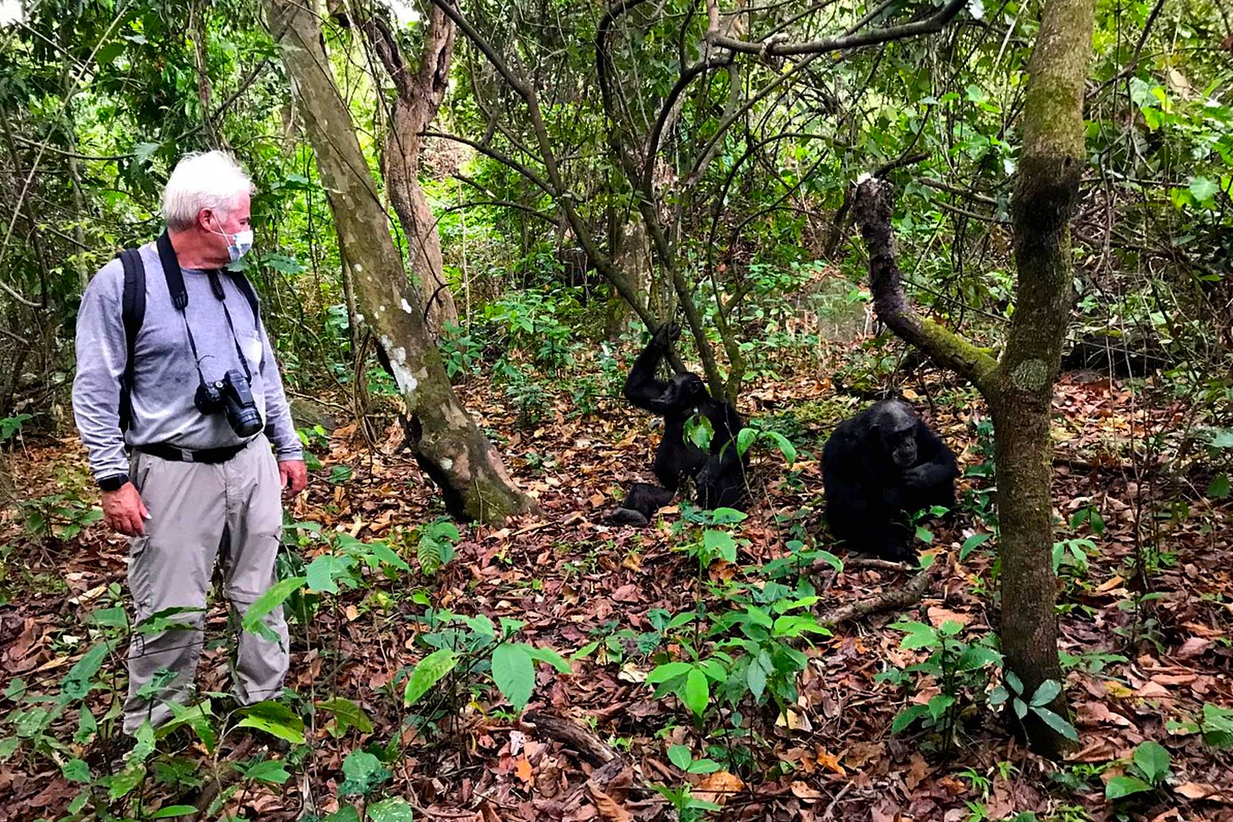 Chimpanzee trekking at Mahale Mountains National Park